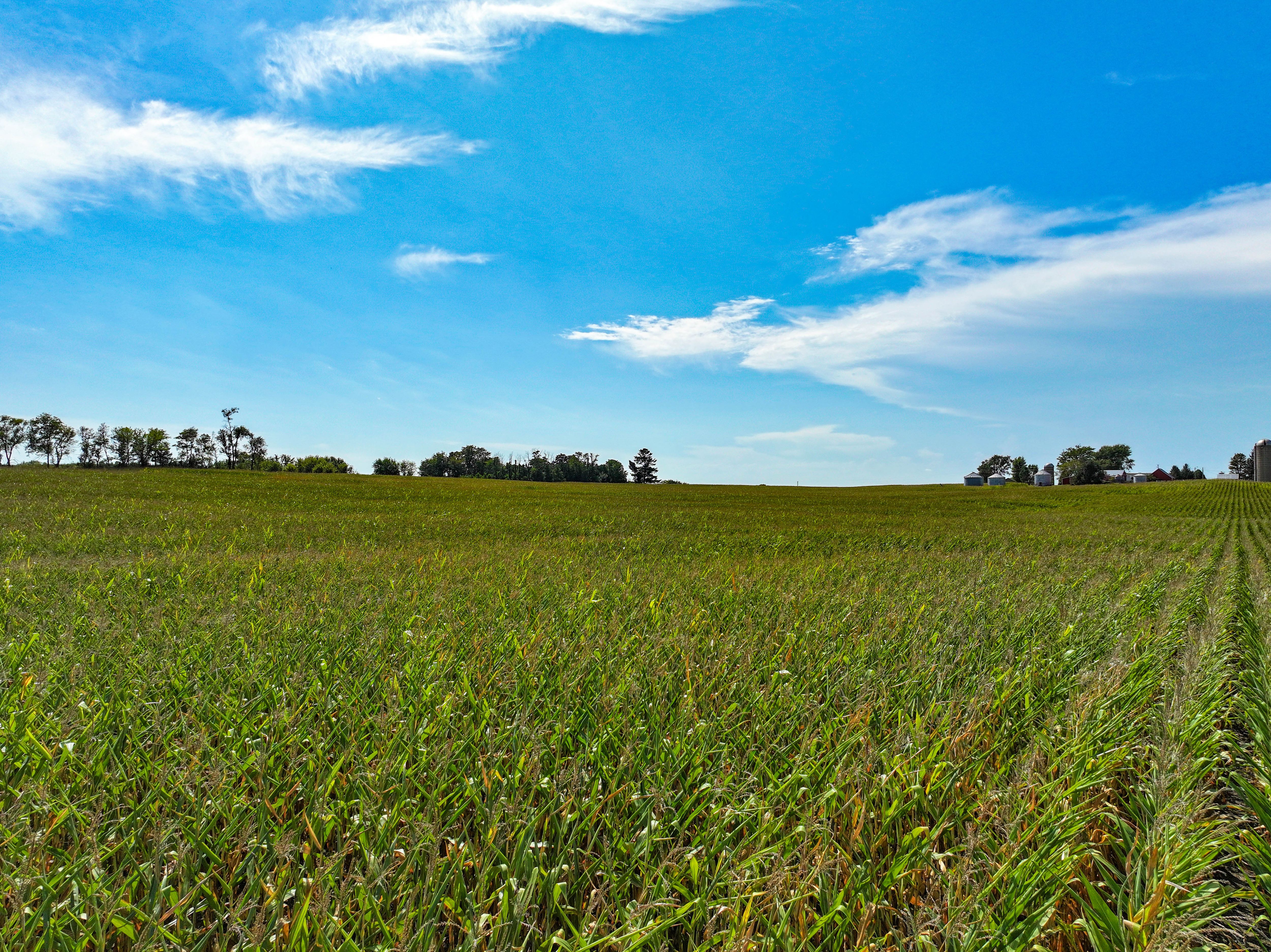 Listing Photo: 6_Delaware County Iowa Farm For Sale